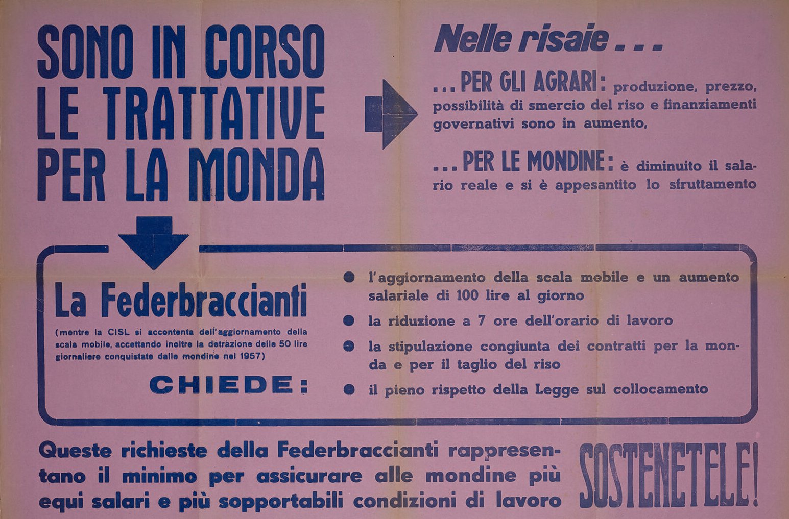 Giornale murale «Terra nostra», 1958